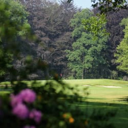 The European Swing: All you need to know - Articles - Vimarsana News