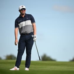 Expert Picks: Made in HimmerLand - Articles - Vimarsana News