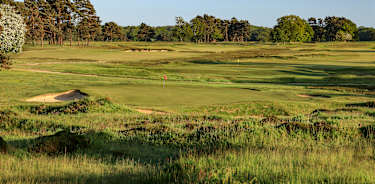 Walton Heath-1495355615
