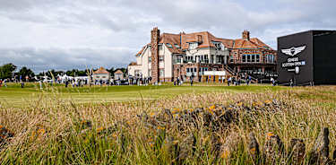 Renaissance-2161786350