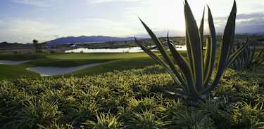 Desert Springs-50922570