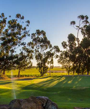 Five things to know: Investec South African Open Championship