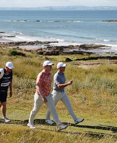 Green Drive: Sustainability Review 2024