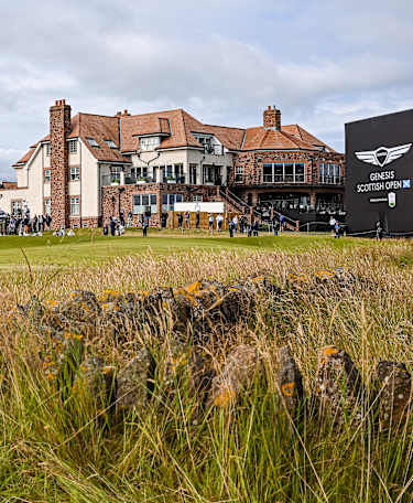 Renaissance-2161786350