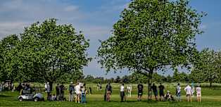 Danish Golf Challenge: Tournament Guide