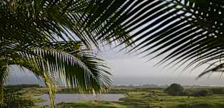 AfrAsia Bank Mauritius Open: How to watch