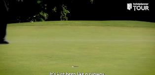 Selwyn Nathan feature