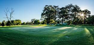 DP World Tour free streaming channel to provide live coverage of Alfred Dunhill Championship in UK and Ireland