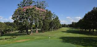 Magical Kenya Open presented by absa: How to watch