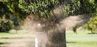 Investec South African Open Championship: Day two digest