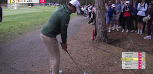 WATCH | Manuel Elvira saves par from the trees