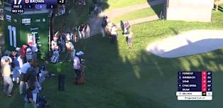 WATCH | Daniel Brown chips in for birdie in bid to make the cut