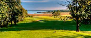 Infortar Estonian Challenge: Tournament Guide