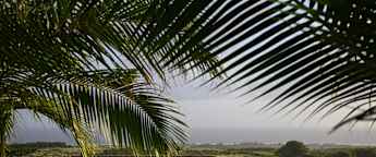 AfrAsia Bank Mauritius Open: How to watch