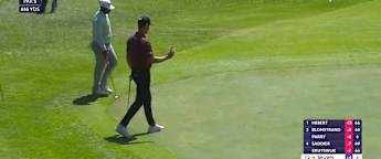 Hamish Brown chips in to save par at the seventh