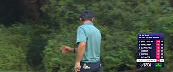 Alex Fitzpatrick birdies the 15th