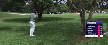 WATCH | Louis Oosthuizen plays a stunning recovery from the trees