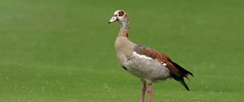 2026 Joburg Open: day one digest