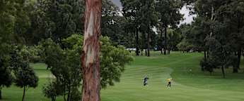 Joburg Open | Day two highlights