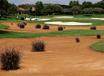 MyGolfLife Open hosted by Pecanwood Estate: Tournament Guide