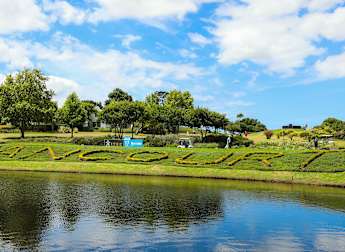 Tournament Guide: NTT DATA Pro Am