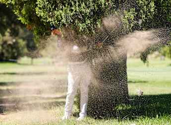 Investec South African Open Championship: Day two digest