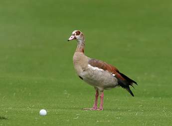 2026 Joburg Open: day one digest