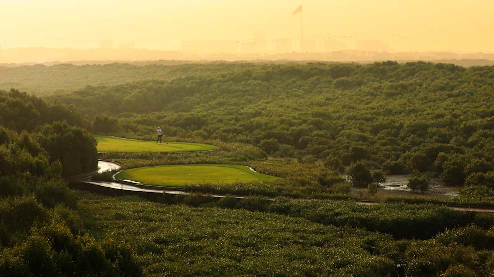 Al Zorah 16th 3458 (1)