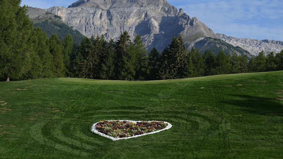 12th flower tribute-2293160918 (1)