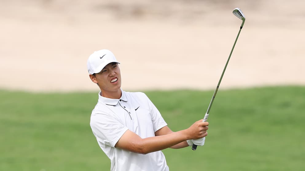 Wenyi Ding-2198120891