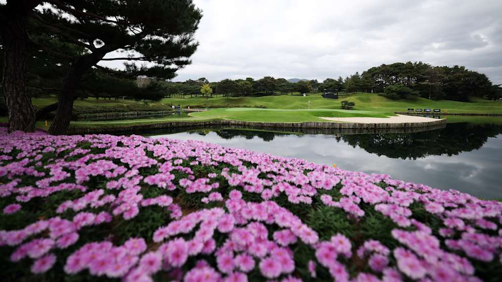 Woo Jeong Hills 13th2242515758