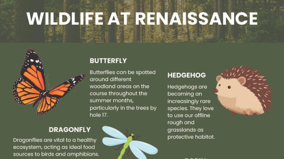 1751471912677-65e46c5e-ac36-4c7d-be6c-dbe88e64ccff_2