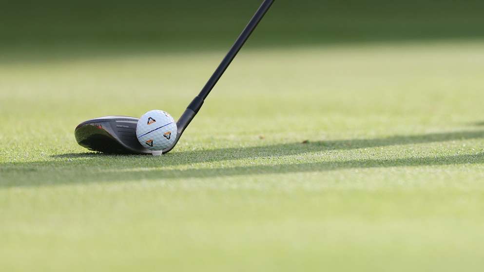 Generic golf ball view