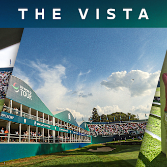 The Vista
