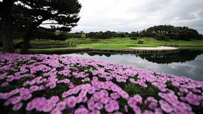 image: DP World Tour free streaming channel to provide coverage of the Genesis Championship