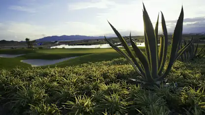 image: Scoring from Second Stage of DP World Tour Qualifying School