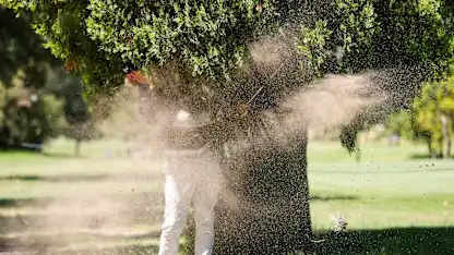 image: Investec South African Open Championship: Day two digest