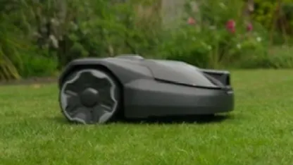 image: When Your Lawn Becomes Your Life