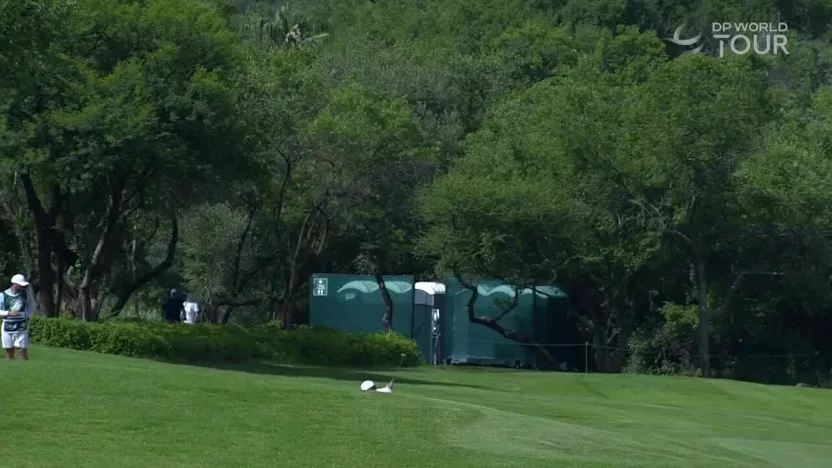 image: Nedbank Golf Challenge in honour of Gary Player | Day one highlights