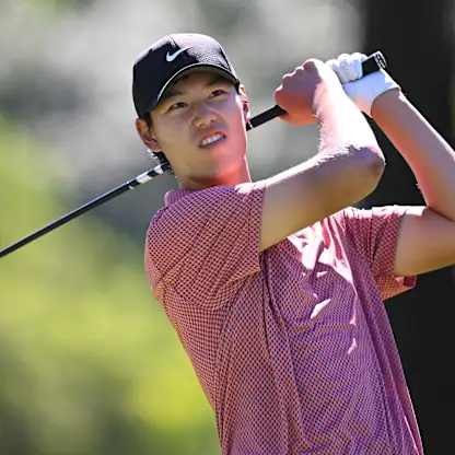 image: Photo of Wenyi DING