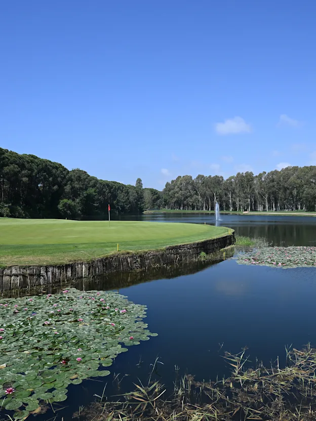 image: Turkish Airlines Open | Day four highlights